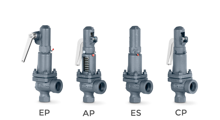 Full lift safety valve with spring loading (AIT) - Mod. 495 EN